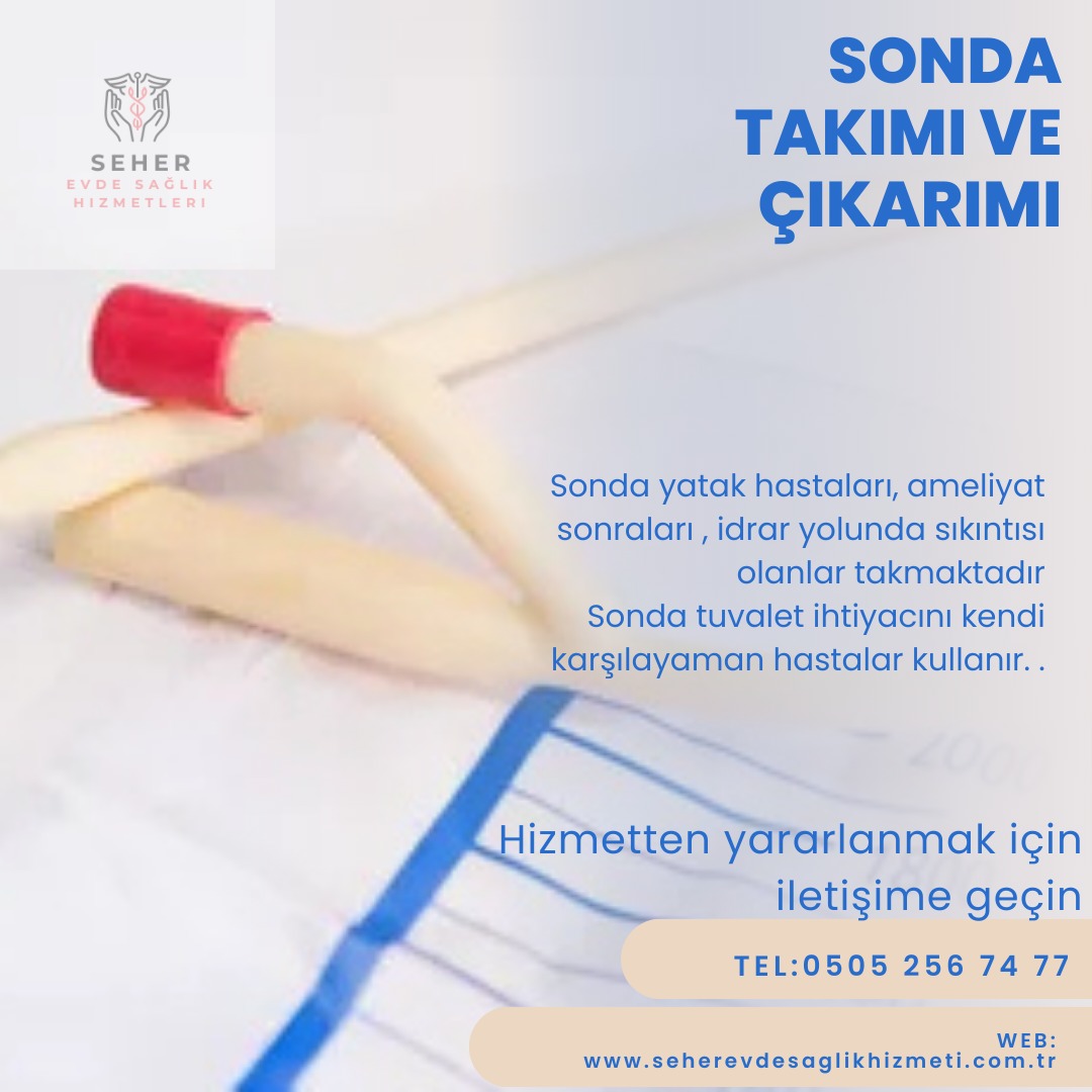Demo Hizmet Başlığı 6